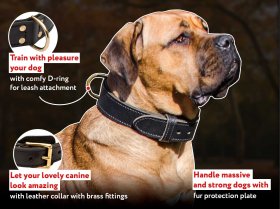 Two ply leather agitation dog collar-Training STRONG COLLAR  Two ply leather agitation dog collar-Training STRONG COLLAR