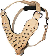 Mastiff Spiked Dog Harness - PADDED LEATHER DOG HARNESS Mastiff Spiked Dog Harness - PADDED LEATHER DOG HARNESS