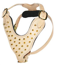 Spiked Padded Dog Harness-Tan Leather Spiked Mastiff Harness Spiked Padded Dog Harness-Tan Leather Spiked Mastiff Harness