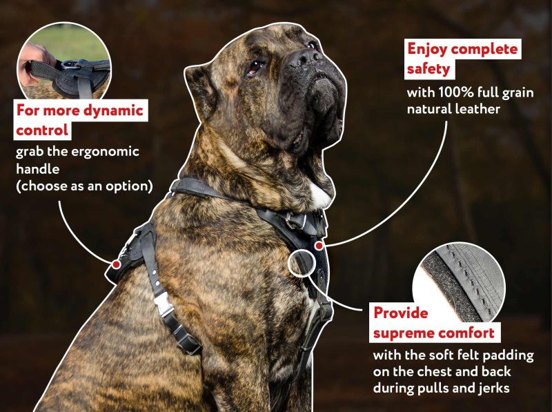 True Leather Mastiff Agitation Harness with Extremely Soft