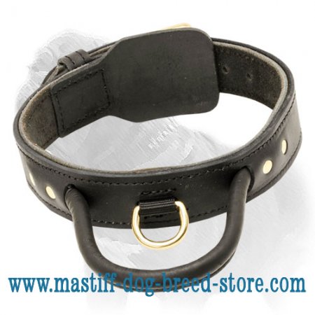 Mastiff Nylon Dog Harness Multi-Tasking with Pattches : Mastiff harness,  Mastiff muzzle, Mastiff collar, dog leash