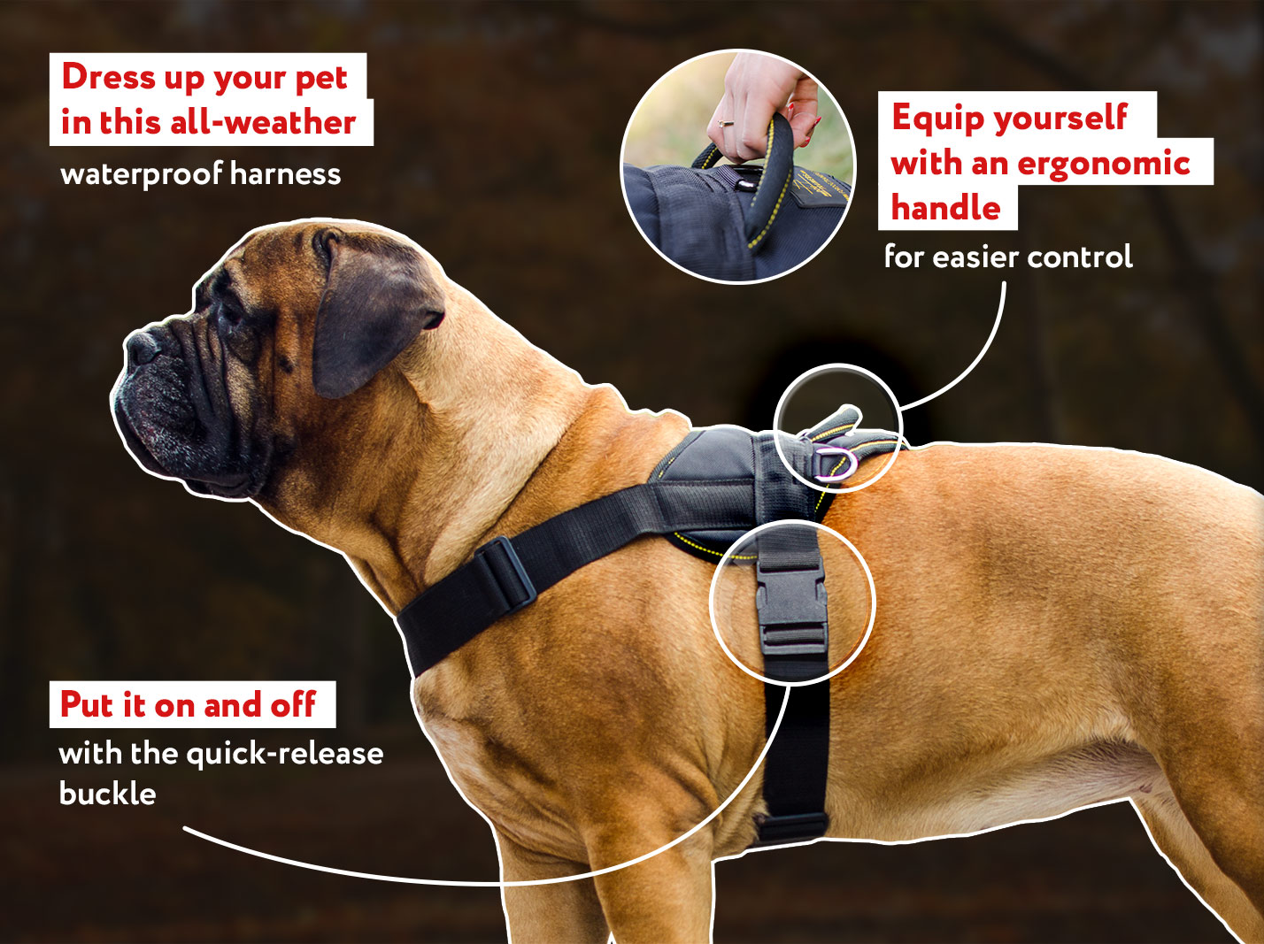 Pull Dog Harness-Stop Your Mastiff Pulling : Mastiff Breed