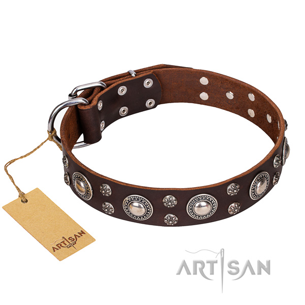 Indestructible leather dog collar with sturdy elements