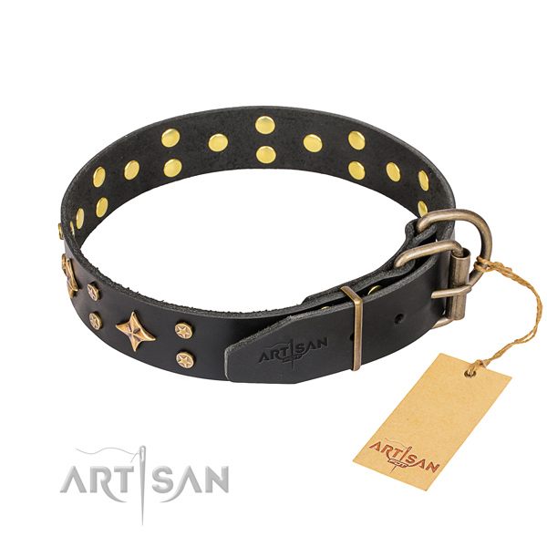 Walking natural genuine leather collar with embellishments for your dog