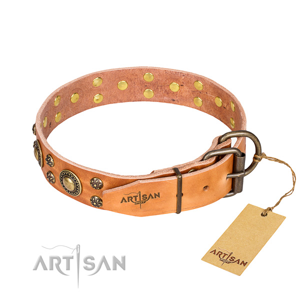 Walking full grain genuine leather collar with studs for your canine