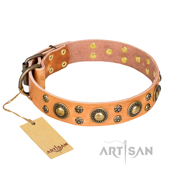 Stunning full grain natural leather dog collar for everyday walking