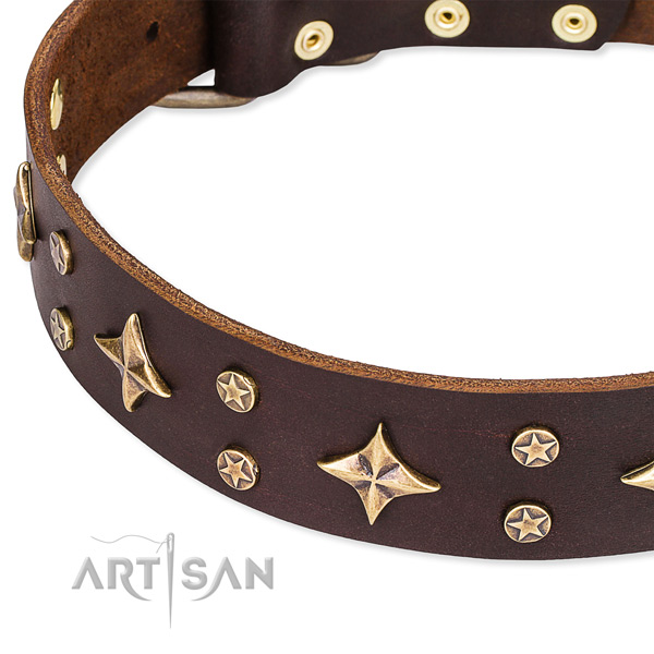 Full grain leather dog collar with stunning adornments