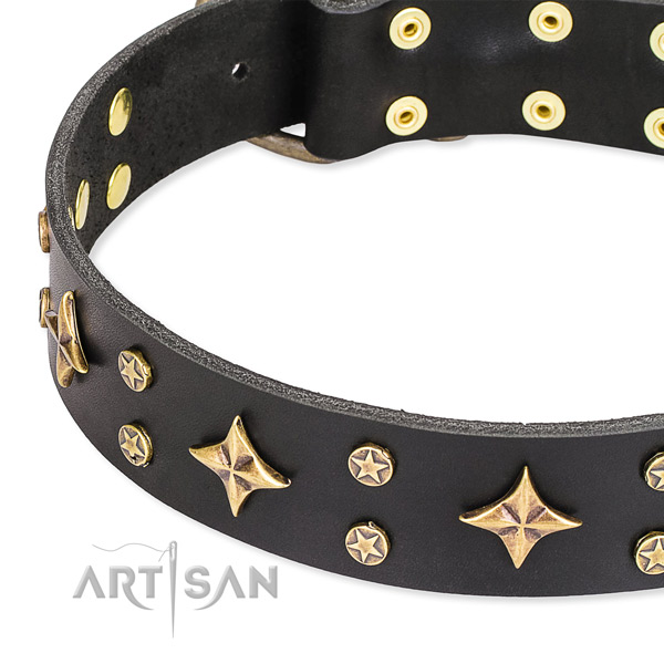 Full grain leather dog collar with unique embellishments