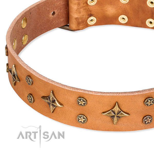 Full grain genuine leather dog collar with amazing studs