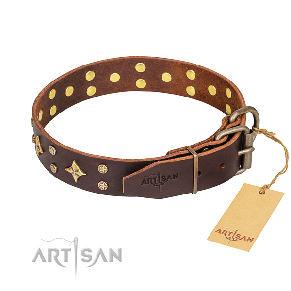 Everyday walking leather collar with studs for your four-legged friend