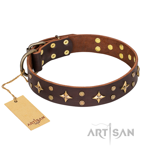 Stunning natural genuine leather dog collar for everyday use