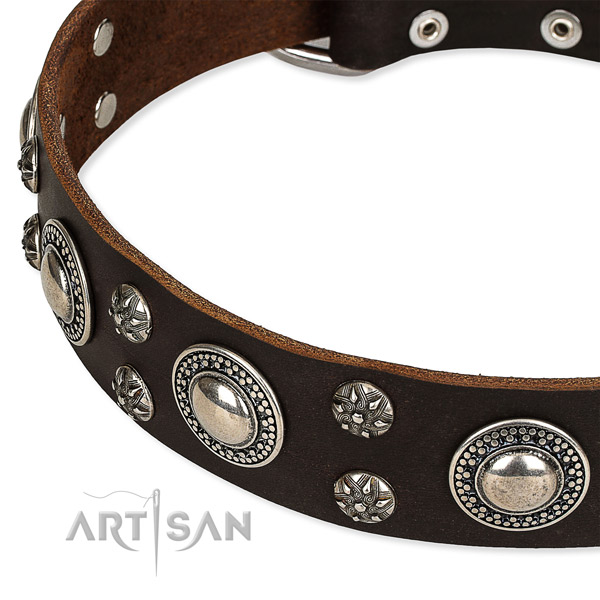 Snugly fitted leather dog collar with resistant to tear and wear durable set of hardware
