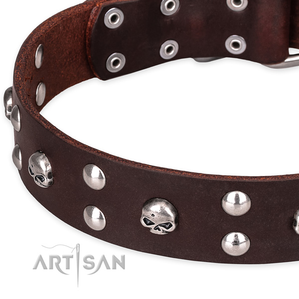 Casual leather dog collar with extraordinary decorations