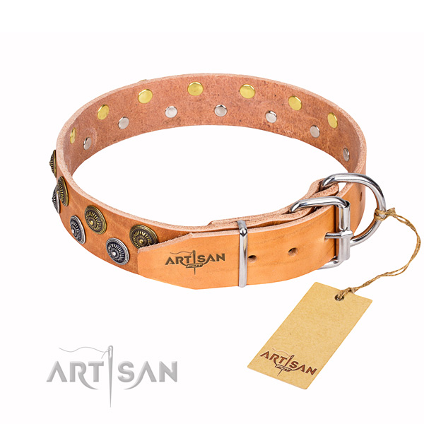 Awesome leather collar for your darling dog