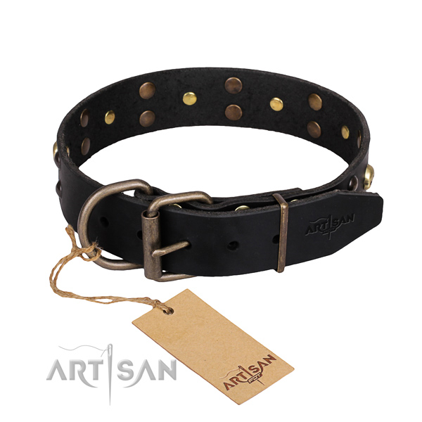Dependable leather dog collar with sturdy fittings