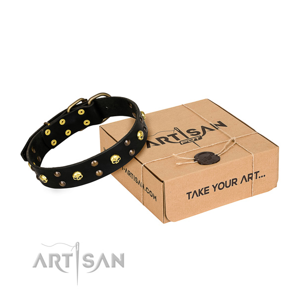 Day-to-day leather dog collar with astounding adornments