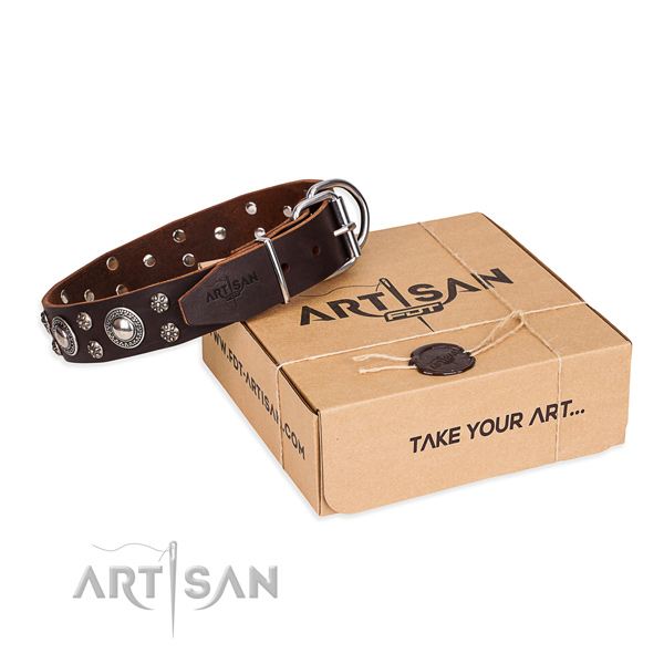 Day-to-day leather dog collar with elegant adornments