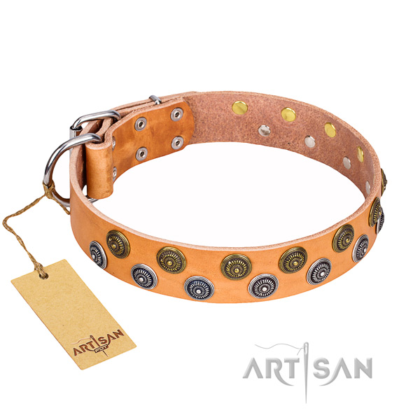 Heavy-duty leather dog collar with non-corrosive hardware
