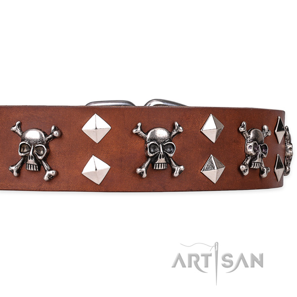 Daily leather dog collar with sensational decorations