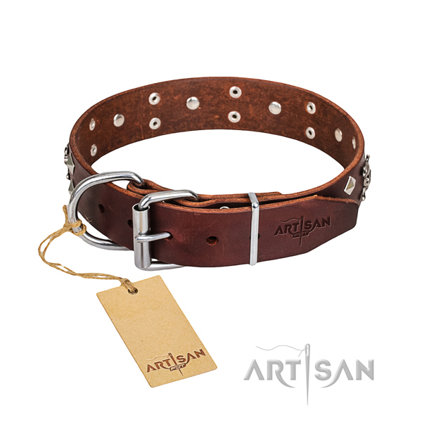 Sturdy leather dog collar with brass plated fittings