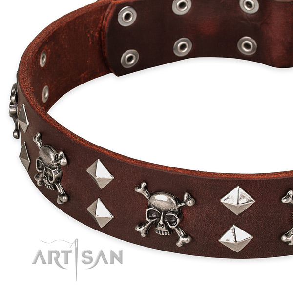 High quality leather dog collar for reliable usage