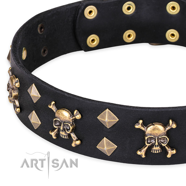 Day-to-day leather dog collar with exceptional decorations