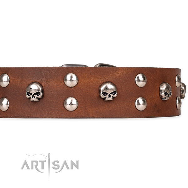 Natural leather dog collar with smoothly polished finish