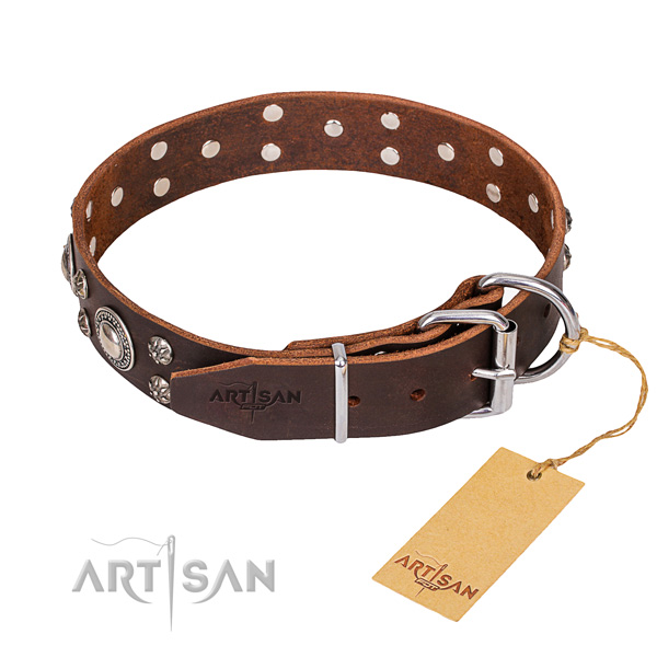 Full grain natural leather dog collar with polished leather strap