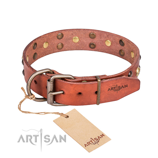 Leather dog collar with polished edges for comfy daily walking