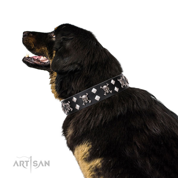 Mastiff studded full grain genuine leather dog collar for comfortable wearing