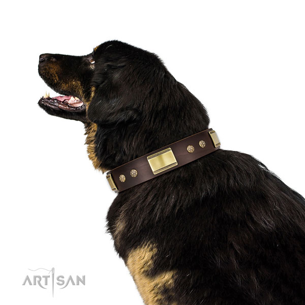 Handy use dog collar of natural leather with stylish design embellishments