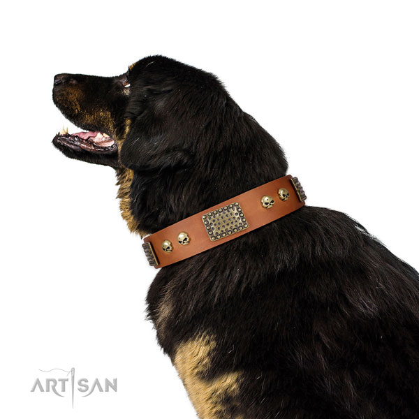 Corrosion proof traditional buckle on natural leather dog collar for easy wearing
