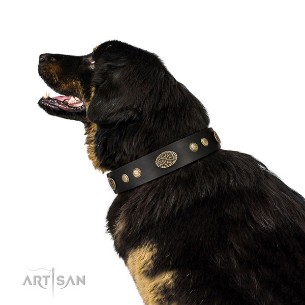 Rust resistant traditional buckle on genuine leather dog collar for fancy walking