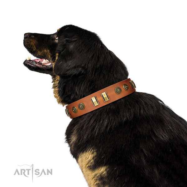 Corrosion resistant fittings on leather dog collar for handy use