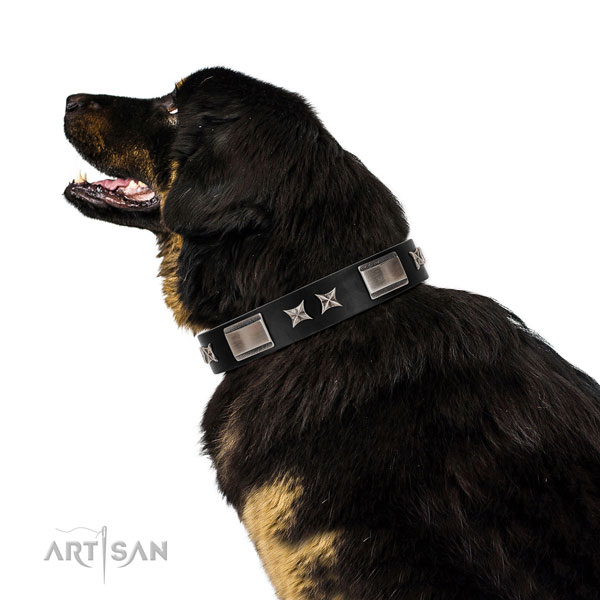 Walking reliable full grain natural leather dog collar with studs