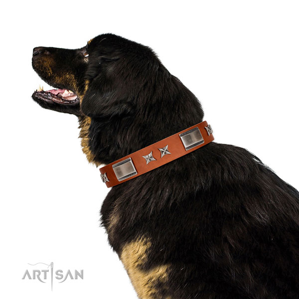 Comfy wearing top rate full grain natural leather dog collar with decorations