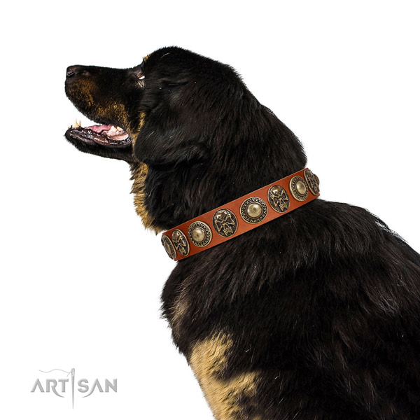 Adorned full grain leather collar for your lovely dog
