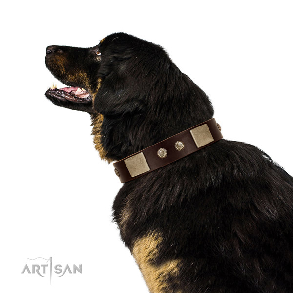 Corrosion proof traditional buckle on genuine leather dog collar for easy wearing