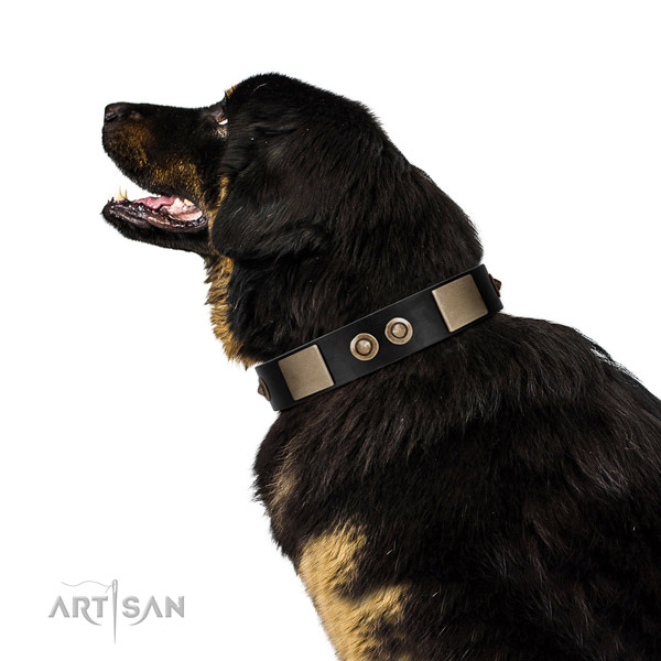 Rust-proof D-ring on full grain genuine leather dog collar for daily use