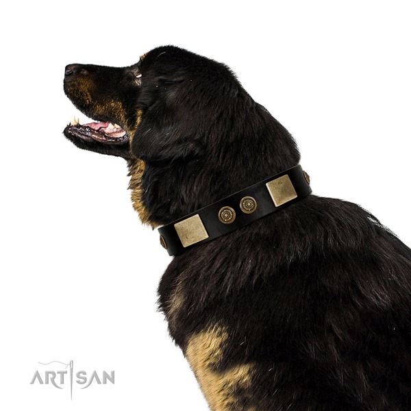 Rust-proof hardware on genuine leather dog collar for everyday use