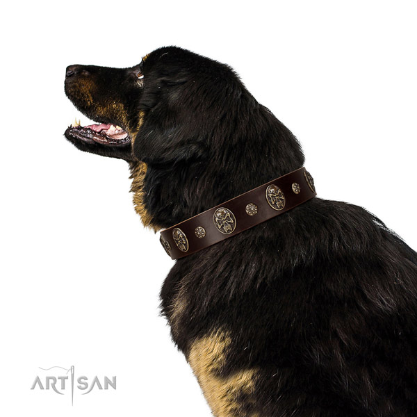 Walking dog collar of natural leather with unusual decorations