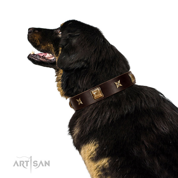Convenient full grain leather dog collar with adornments