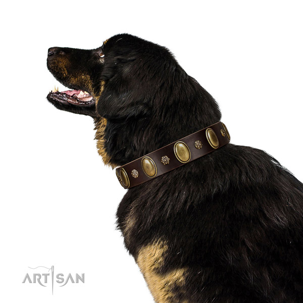 Easy wearing soft to touch full grain natural leather dog collar with decorations