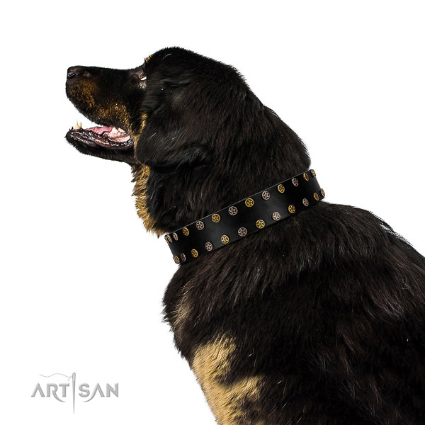 Trendy full grain genuine leather dog collar with strong embellishments