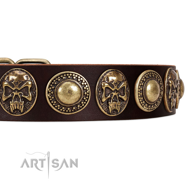 Genuine leather dog collar with studs for stylish walking