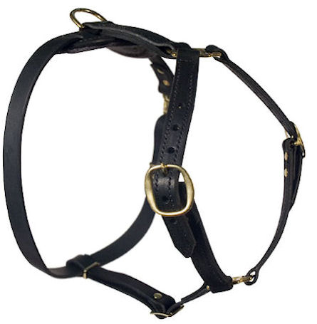 leather dog harnesses for large dogs