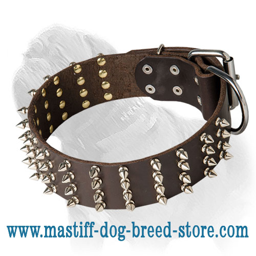 dog leash spikes