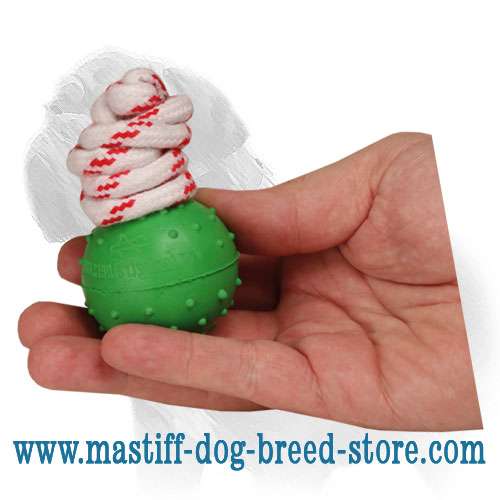 Rubber Sport Dog Toy Dog Training String Bouncy Ball Chew Toy