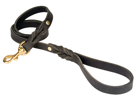 petco leather leash