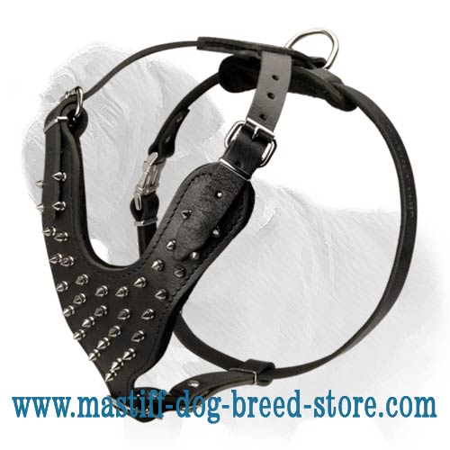 Spiked 2-Ply Latigo Harness for Mastiff